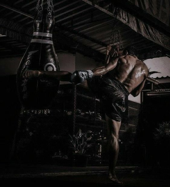 115598e8498c6b67ca149ea3a4509c91